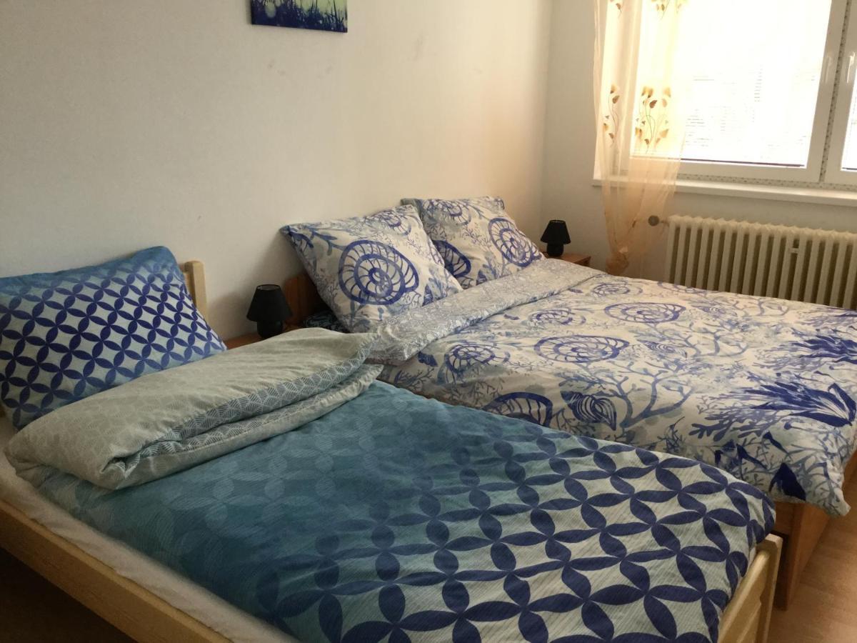 Lydiavi Apartment Vysoke Myto Room photo